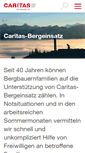 Mobile Screenshot of bergeinsatz.ch